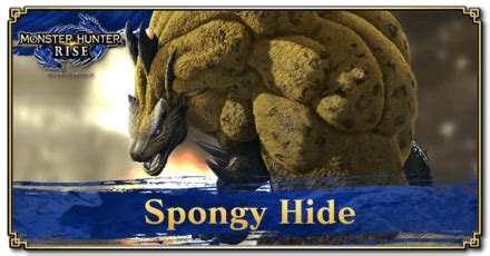spongy hide mhr  Materials are